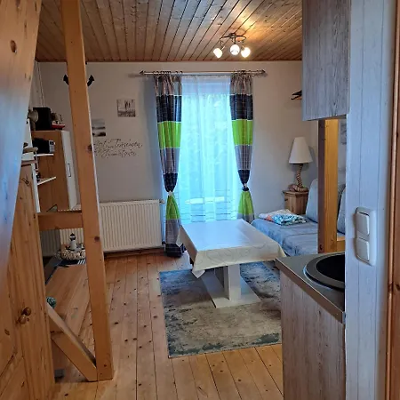 Daire Seepferdchen *