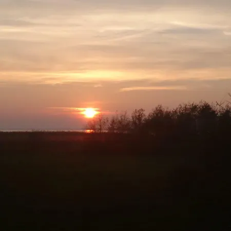Seepferdchen Zempin
