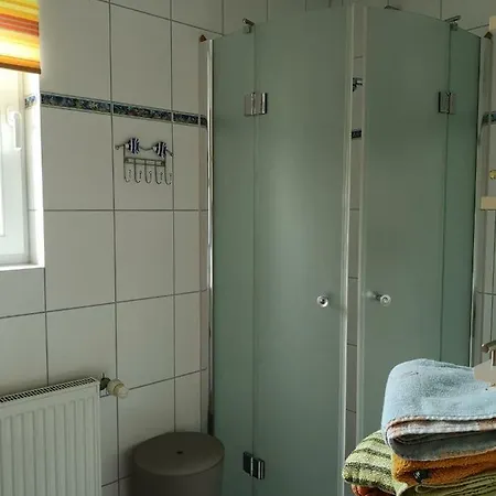 Seepferdchen *