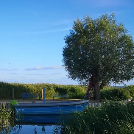 Daire Seepferdchen *